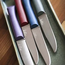 Coffret 4 couteaux de table Bon Appétit + Panachés GLAM - OPINEL