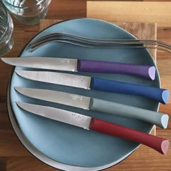 Coffret 4 couteaux de table Bon Appétit + Panachés GLAM - OPINEL