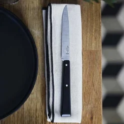 Coffret 4 couteaux de table Bon Appétit Pro - OPINEL