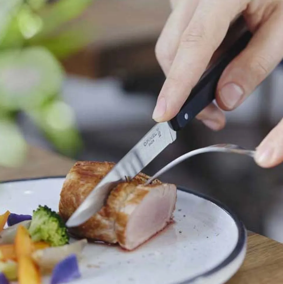 Coffret 4 couteaux de table Bon Appétit Pro - OPINEL