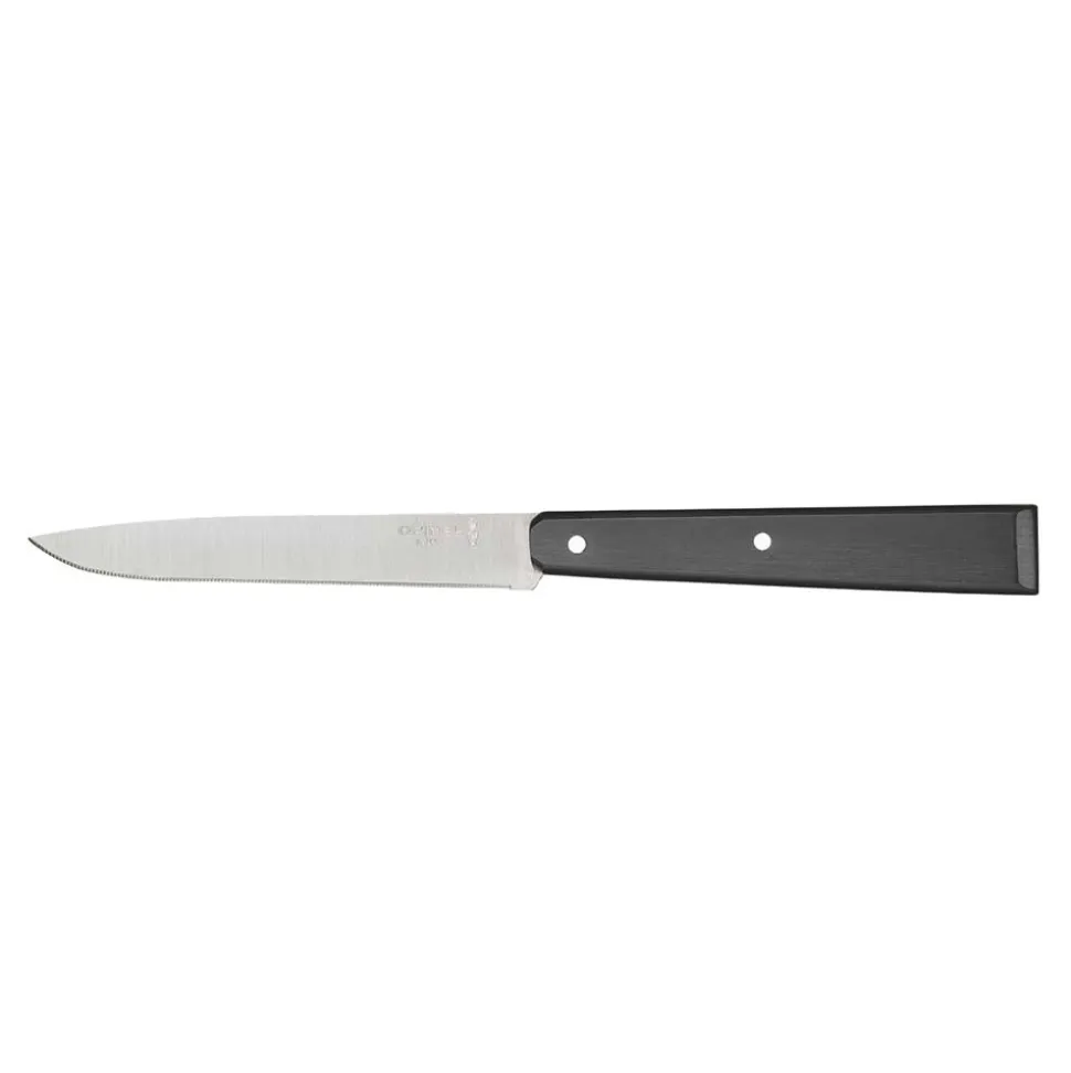 Coffret 4 couteaux de table Bon Appétit Pro - OPINEL