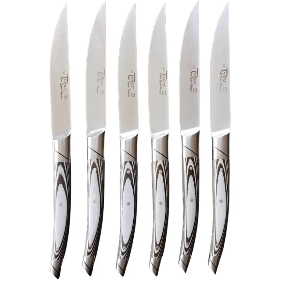 Coffret 6 Couteaux Le Thiers Avantage avec Manche Paperstone Gris - GOYON-CHAZEAU