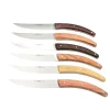 Coffret de 6 couteaux Styl'Ver Brasserie Bois Assortis - GOYON-CHAZEAU