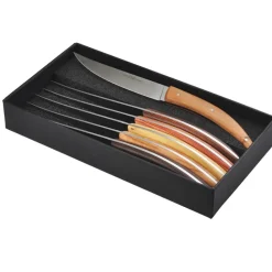 Coffret de 6 couteaux Styl'Ver Brasserie Bois Assortis - GOYON-CHAZEAU