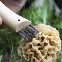 Couteau n°8 Inox Champignon - OPINEL