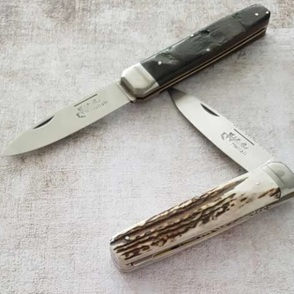 Couteau pliant Hallali Pointe de corne blonde 1 pièce - DOURIS CHASTEL