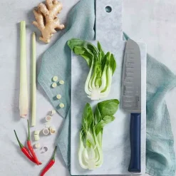 Couteau Santoku Intempora n°219 - OPINEL