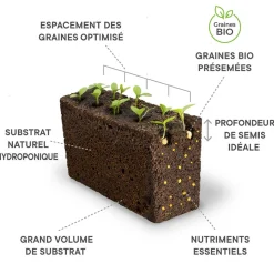 Lingot Pak Choï BIO - VERITABLE
