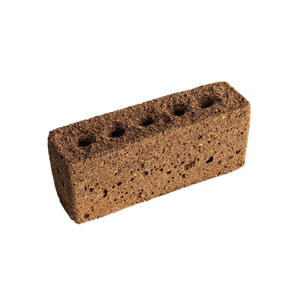 Lingot sans graines - VERITABLE