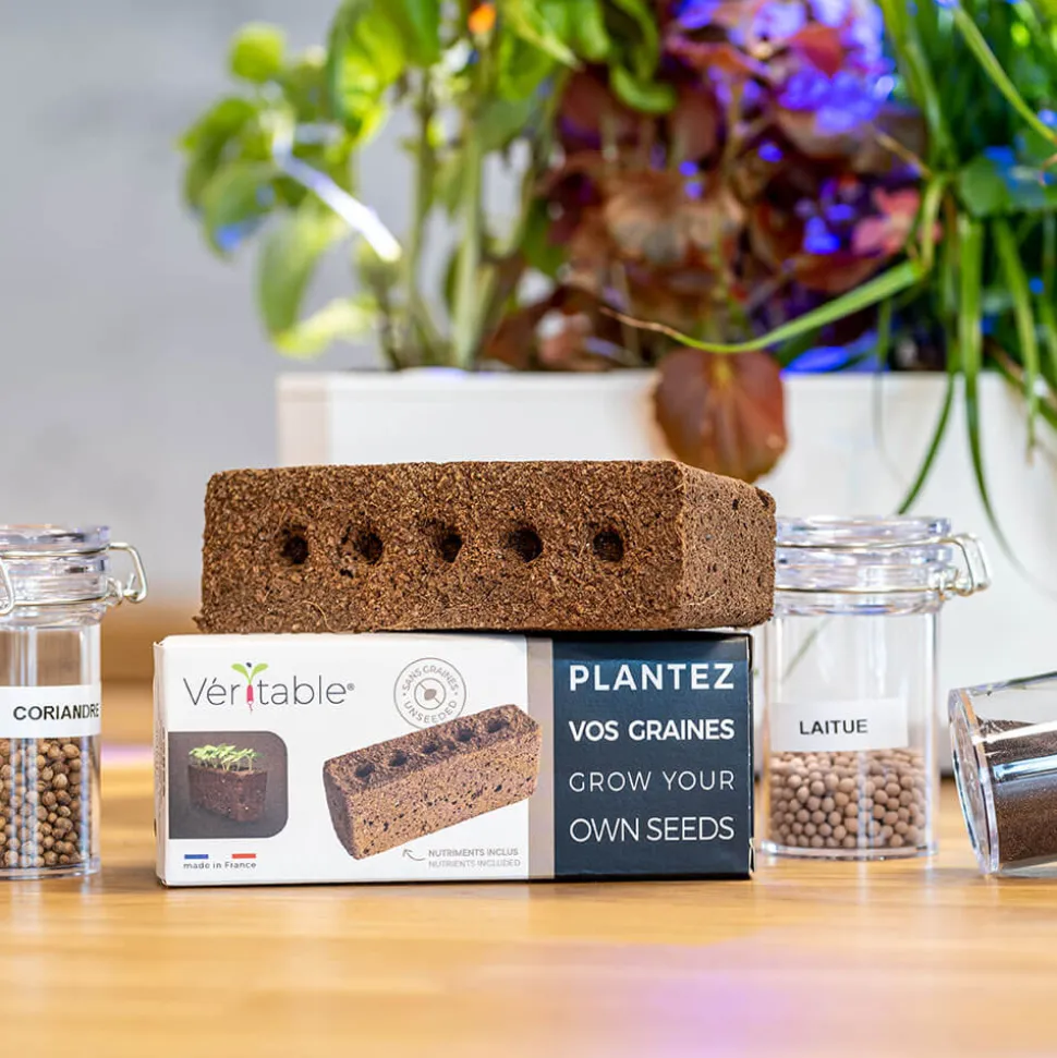 Lingot sans graines - VERITABLE