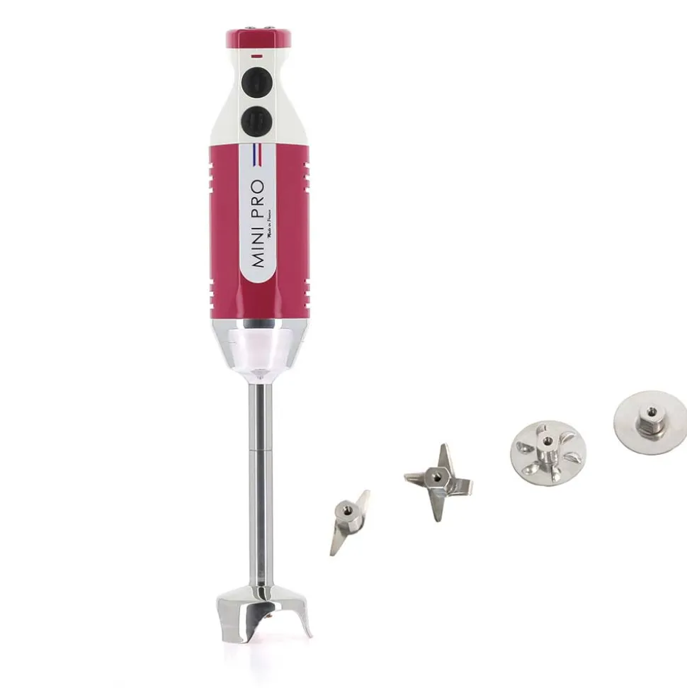Mixeur plongeant polyvalent mini-pro Framboise 4 couteaux - DYNAMIC