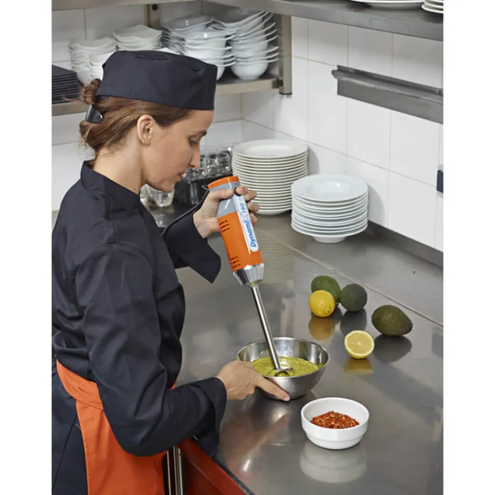 Mixeur plongeant professionnel DYNAMIX COMBI 160 - DYNAMIC