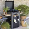 Plancha Gaz Fusion 60 sur Chariot Acier Gris Cargo - ENO