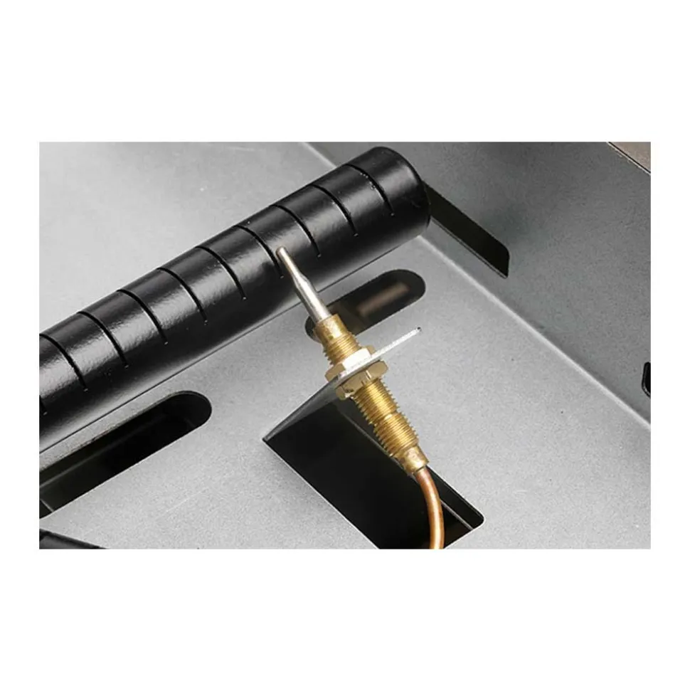 Plancha gaz plaque inox noir 2 brûleurs - ROLLER GRILL