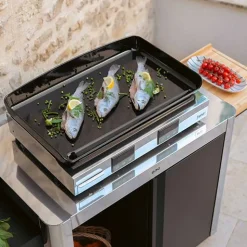 Plancha électrique Initial 65 Inox - ENO