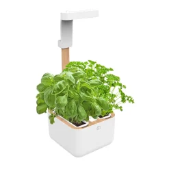 Potager d'intérieur Botaneo avec 2 lingots OFFERTS - VERITABLE