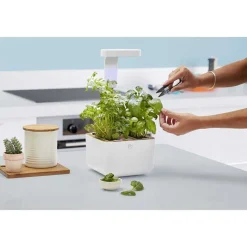 Potager d'intérieur Botaneo avec 2 lingots OFFERTS - VERITABLE