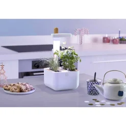 Potager d'intérieur Botaneo avec 2 lingots OFFERTS - VERITABLE